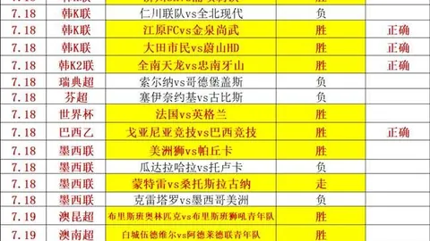 ：范德芬曾权衡未来，德泽尔比上任成留守关键因素